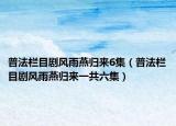 普法栏目剧风雨燕归来6集（普法栏目剧风雨燕归来一共六集）