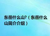 东岳什么山?（东岳什么山简介介绍）