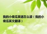 我的小傻瓜英语怎么读（我的小傻瓜英文翻译）