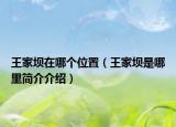 王家坝在哪个位置（王家坝是哪里简介介绍）