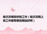 哈尔滨哪里好找工作（哈尔滨网上找工作都有哪些网站好啊）