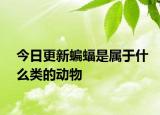 今日更新蝙蝠是属于什么类的动物