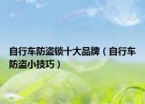 自行车防盗锁十大品牌（自行车防盗小技巧）