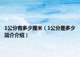 1公分有多少厘米（1公分是多少简介介绍）