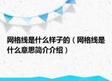 网格线是什么样子的（网格线是什么意思简介介绍）