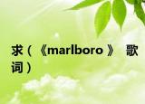 求（《marlboro 》  歌词）