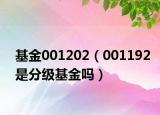 基金001202（001192是分级基金吗）