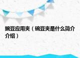 豌豆应用夹（碗豆夹是什么简介介绍）