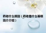 药老什么级别（药老是什么等级简介介绍）