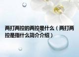 两打两控的两控是什么（两打两控是指什么简介介绍）