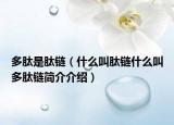 多肽是肽链（什么叫肽链什么叫多肽链简介介绍）