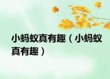 小蚂蚁真有趣（小蚂蚁真有趣）