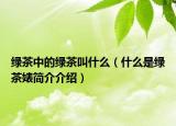 绿茶中的绿茶叫什么（什么是绿茶婊简介介绍）