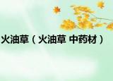 火油草（火油草 中药材）