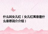 什么叫女儿红（女儿红寓意是什么意思简介介绍）
