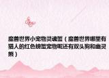 魔兽世界小宠物灵魂蟹（魔兽世界哪里有猎人的红色螃蟹宠物呢还有双头狗和幽灵熊）