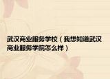 武汉商业服务学校（我想知道武汉商业服务学院怎么样）