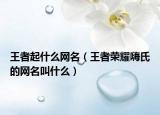 王者起什么网名（王者荣耀嗨氏的网名叫什么）
