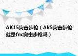 AK15突击步枪（Ak5突击步枪就是fnc突击步枪吗）
