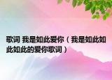 歌词 我是如此爱你（我是如此如此如此的爱你歌词）