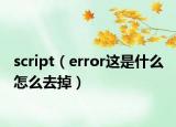 script（error这是什么 怎么去掉）