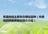 食用肉鸡主要包含哪些品种（肉食鸡的种类有哪些简介介绍）