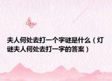 夫人何处去打一个字谜是什么（灯谜夫人何处去打一字的答案）