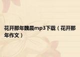 花开那年魏晨mp3下载（花开那年作文）