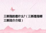 三新指的是什么?（三新是指哪三新简介介绍）