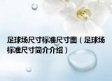 足球场尺寸标准尺寸图（足球场标准尺寸简介介绍）