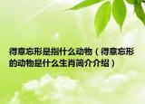 得意忘形是指什么动物（得意忘形的动物是什么生肖简介介绍）