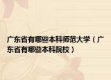 广东省有哪些本科师范大学（广东省有哪些本科院校）