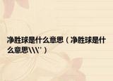 净胜球是什么意思（净胜球是什么意思\