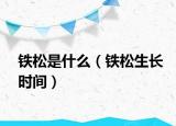 铁松是什么（铁松生长时间）