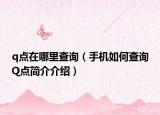 q点在哪里查询（手机如何查询Q点简介介绍）