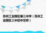 苏州工业园区第三中学（苏州工业园区三中初中怎样）