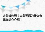 大象被炸死（大象死后为什么会爆炸简介介绍）