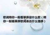 歌词陪你一起看草原是什么歌（陪你一起看草原歌词表达什么情感）