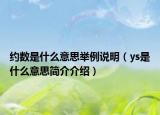 约数是什么意思举例说明（ys是什么意思简介介绍）
