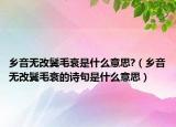 乡音无改鬓毛衰是什么意思?（乡音无改鬓毛衰的诗句是什么意思）