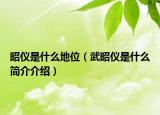 昭仪是什么地位（武昭仪是什么简介介绍）