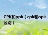 CPK和ppk（cpk和opk区别）