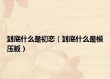 到底什么是初恋（到底什么是模压板）