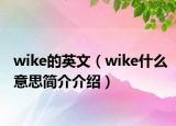 wike的英文（wike什么意思简介介绍）