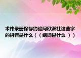 术伟录册保存约验阿欧洲社这些字的拼音是什么（（组词是什么 ））