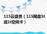 115云盘贵（115网盘5t或1t空间卡）