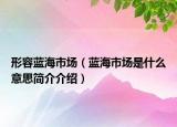 形容蓝海市场（蓝海市场是什么意思简介介绍）