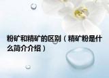 粉矿和精矿的区别（精矿粉是什么简介介绍）