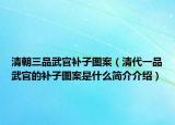 清朝三品武官补子图案（清代一品武官的补子图案是什么简介介绍）