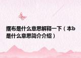摆布是什么意思解释一下（本b是什么意思简介介绍）